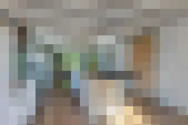 Egginkstraat 21 Wapse thumbnail 11