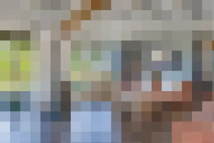 Egginkstraat 21 Wapse thumbnail 16