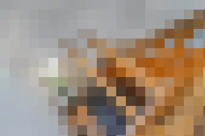 Egginkstraat 21 Wapse thumbnail 21