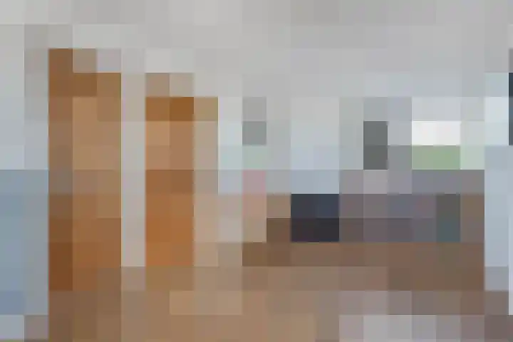 Egginkstraat 21 Wapse thumbnail 23