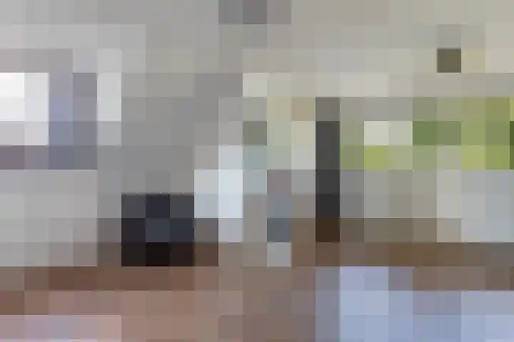 Egginkstraat 21 Wapse thumbnail 24