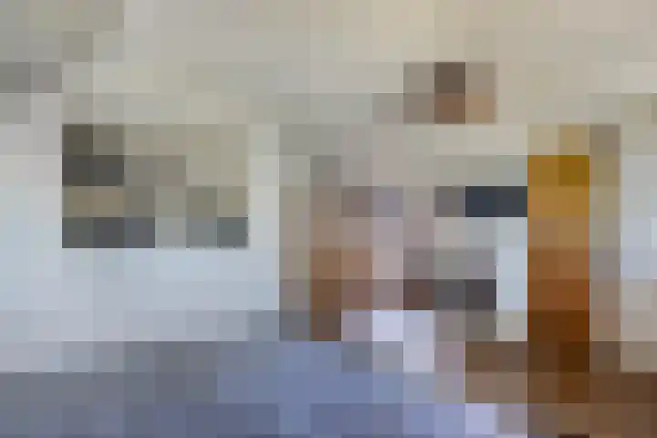 Egginkstraat 21 Wapse thumbnail 26