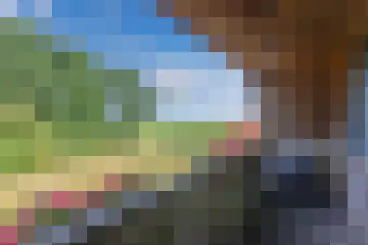 Egginkstraat 21 Wapse thumbnail 28