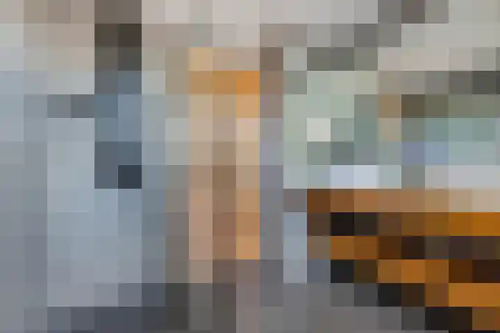 Egginkstraat 21 Wapse thumbnail 30