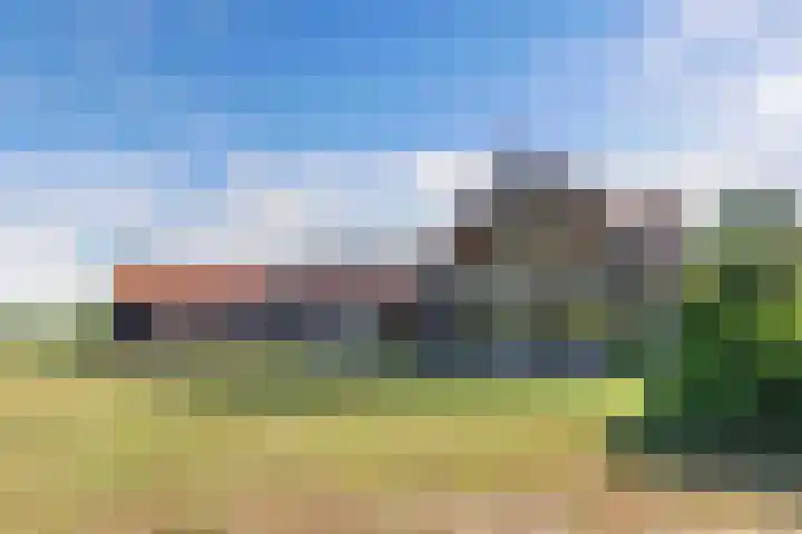 Egginkstraat 21 Wapse thumbnail 35