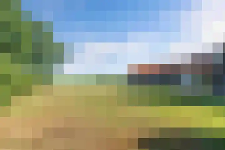 Egginkstraat 21 Wapse thumbnail 36
