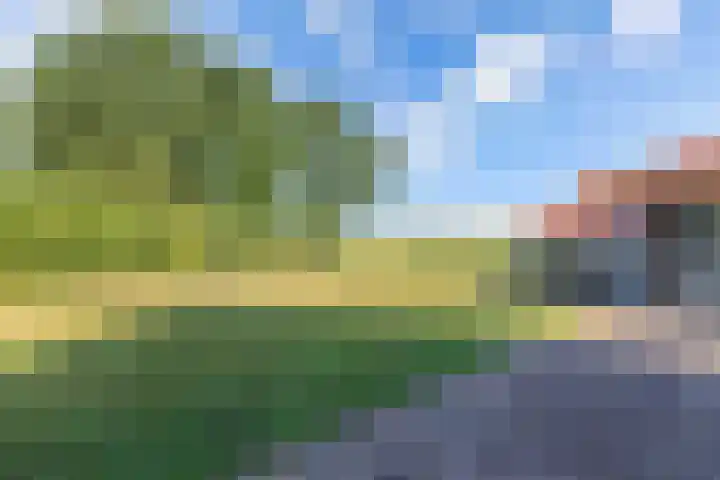 Egginkstraat 21 Wapse thumbnail 37