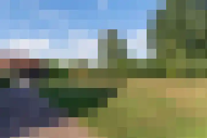 Egginkstraat 21 Wapse thumbnail 38