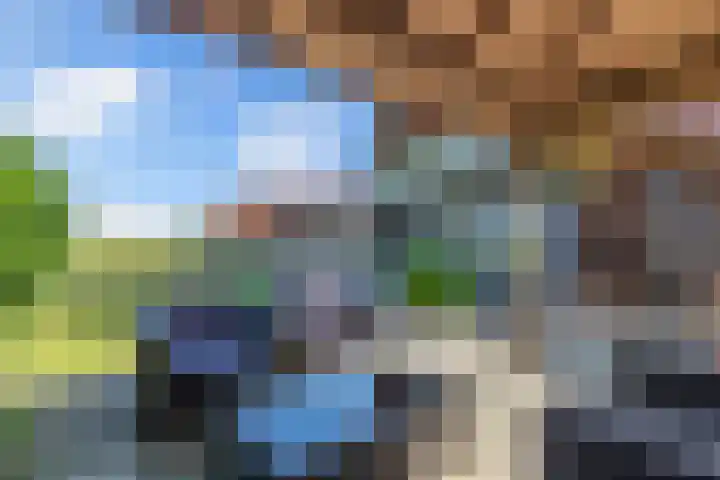Egginkstraat 21 Wapse thumbnail 43