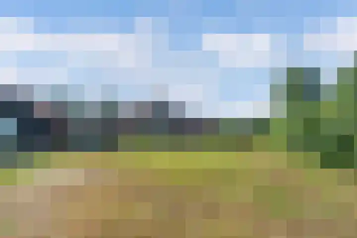 Egginkstraat 21 Wapse thumbnail 44