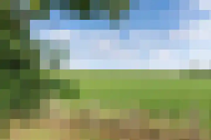 Egginkstraat 21 Wapse thumbnail 45
