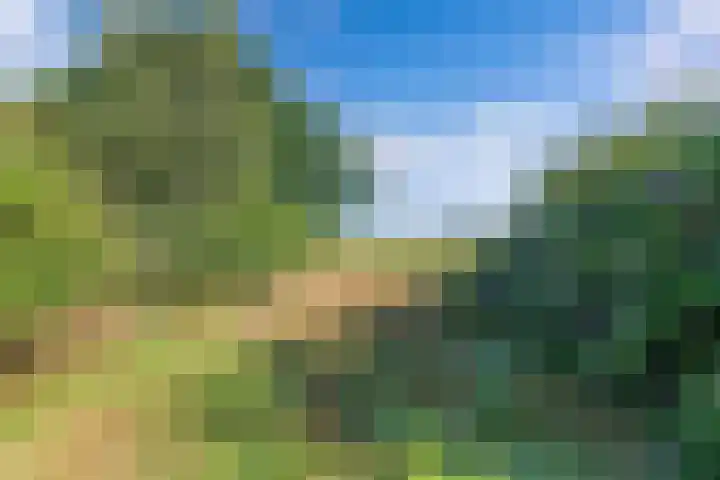 Egginkstraat 21 Wapse thumbnail 46