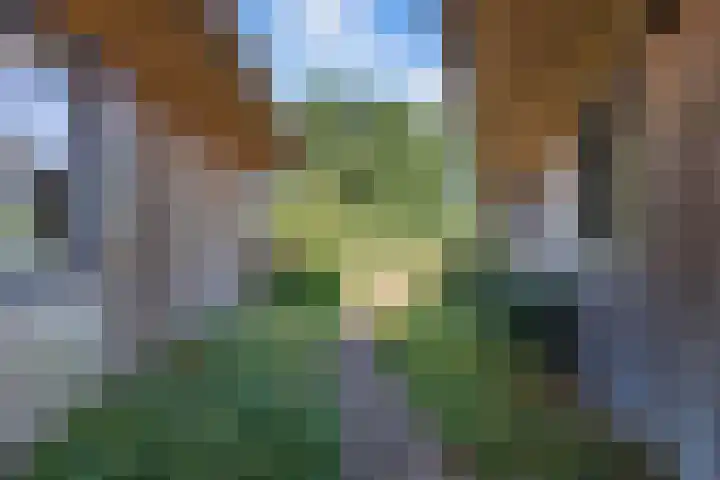Egginkstraat 21 Wapse thumbnail 47