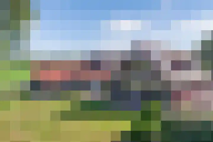 Egginkstraat 21 Wapse thumbnail 49