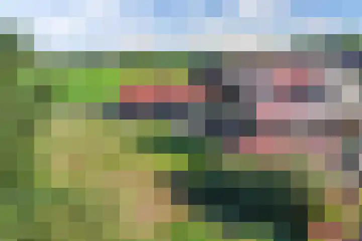 Egginkstraat 21 Wapse thumbnail 50