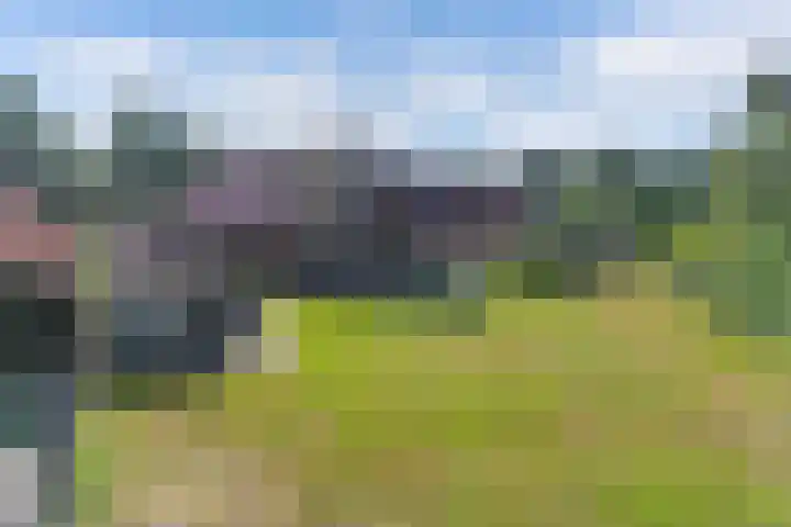 Egginkstraat 21 Wapse thumbnail 51