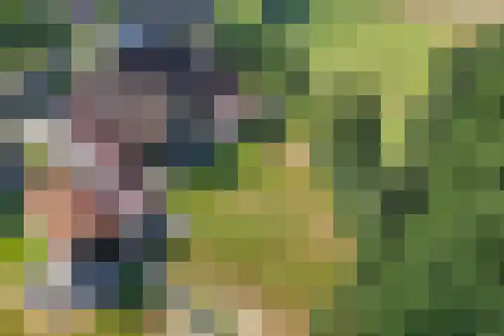 Egginkstraat 21 Wapse thumbnail 52