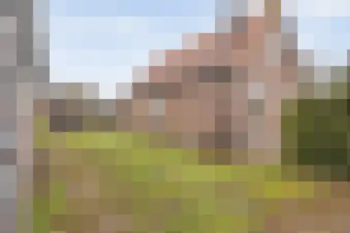 Egginkstraat 8 Uffelte thumbnail 34