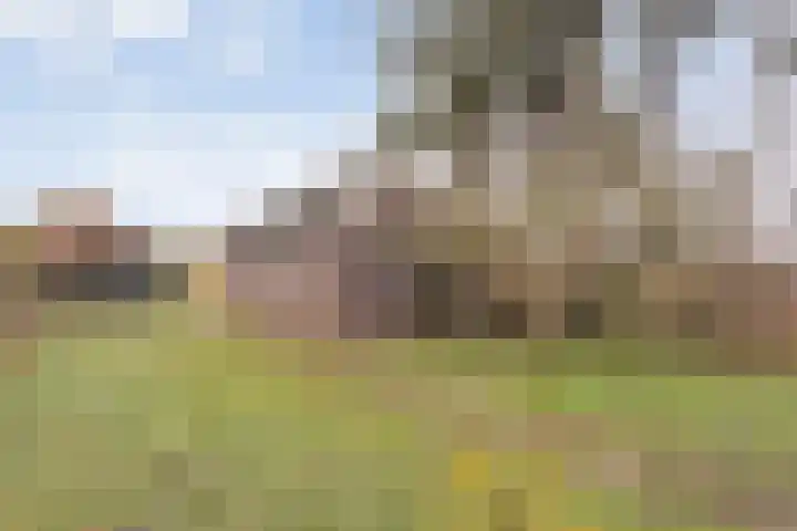 Egginkstraat 8 Uffelte thumbnail 35