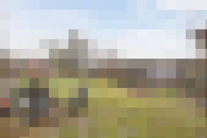 Egginkstraat 8 Uffelte thumbnail 37