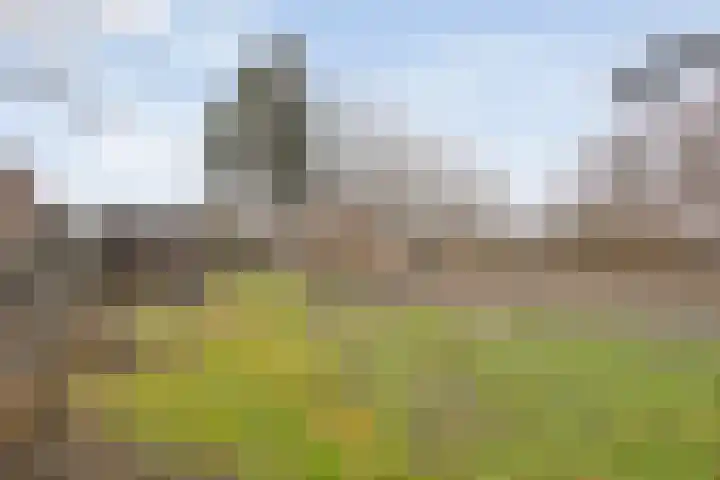 Egginkstraat 8 Uffelte thumbnail 38