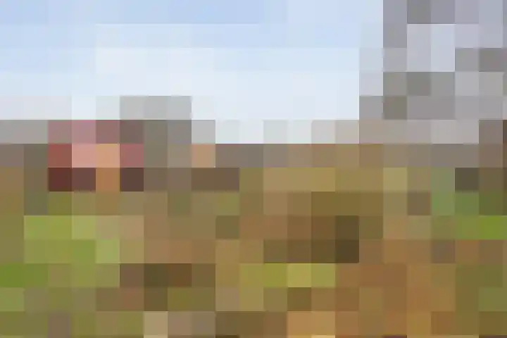 Egginkstraat 8 Uffelte thumbnail 39