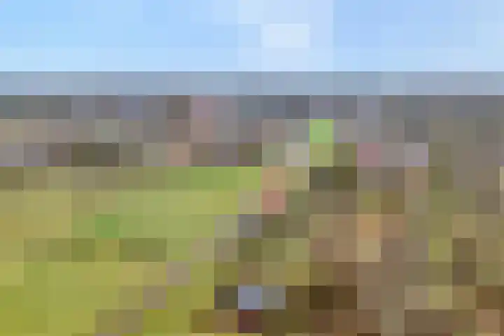 Egginkstraat 8 Uffelte thumbnail 4