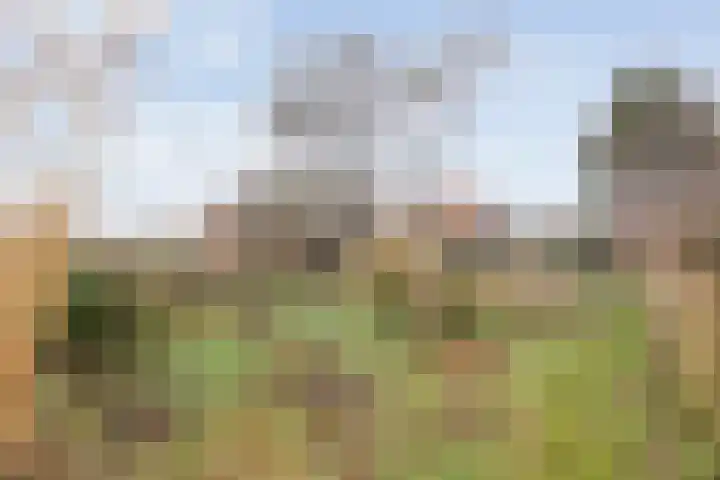 Egginkstraat 8 Uffelte thumbnail 40