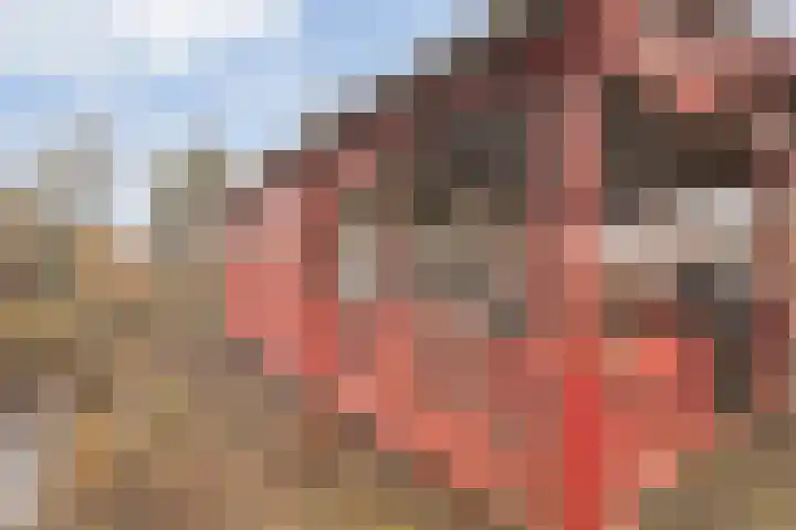 Egginkstraat 8 Uffelte thumbnail 43