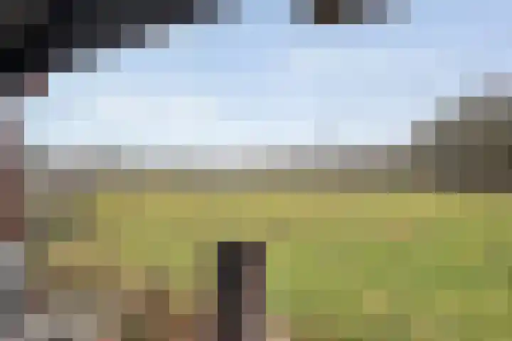 Egginkstraat 8 Uffelte thumbnail 45
