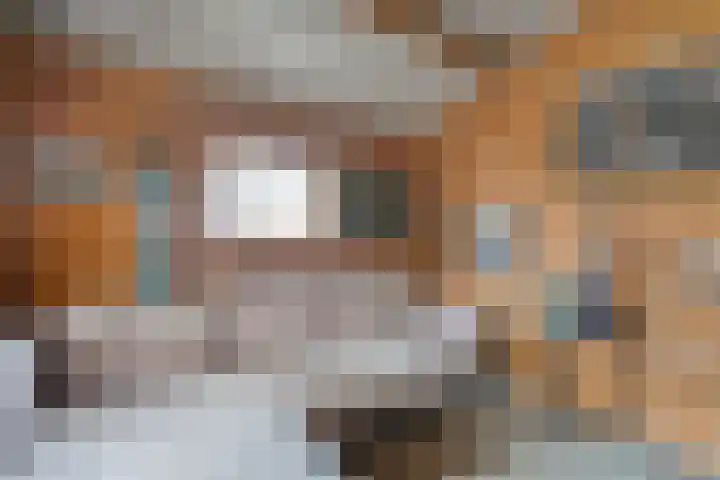 Egginkstraat 8 Uffelte thumbnail 46