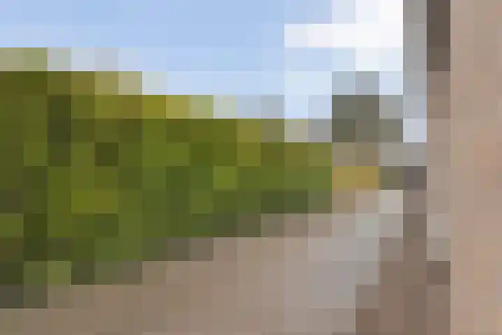 Egginkstraat 8 Uffelte thumbnail 52