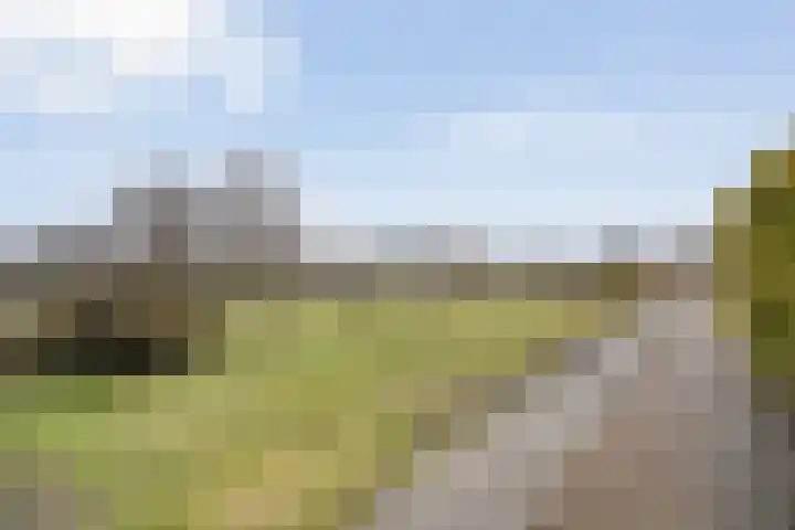 Egginkstraat 8 Uffelte thumbnail 53