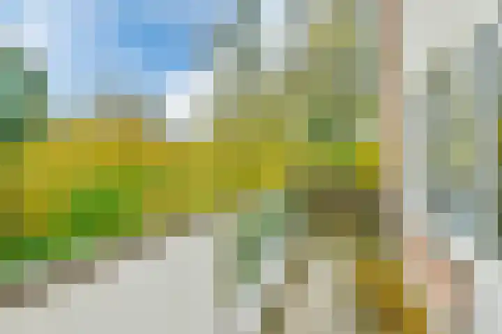 Egholm 24 Hoofddorp thumbnail 17