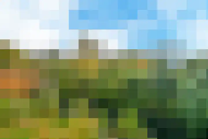 Egholm 24 Hoofddorp thumbnail 21