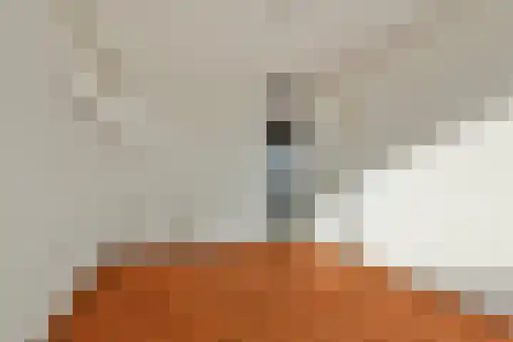 Egholm 24 Hoofddorp thumbnail 23