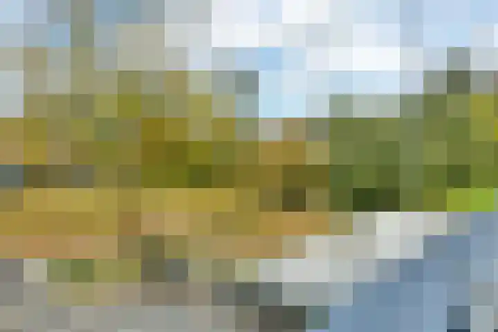 Egholm 24 Hoofddorp thumbnail 29