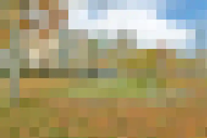 Egholm 24 Hoofddorp thumbnail 30