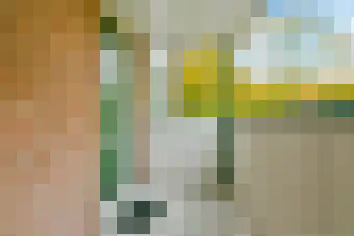 Egholm 24 Hoofddorp thumbnail 4