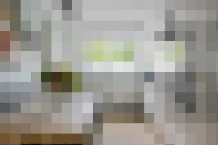 Egholm 27 Hoofddorp thumbnail 10