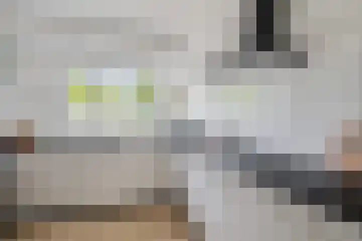 Egholm 27 Hoofddorp thumbnail 12