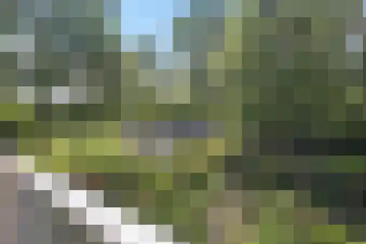 Egholm 27 Hoofddorp thumbnail 31