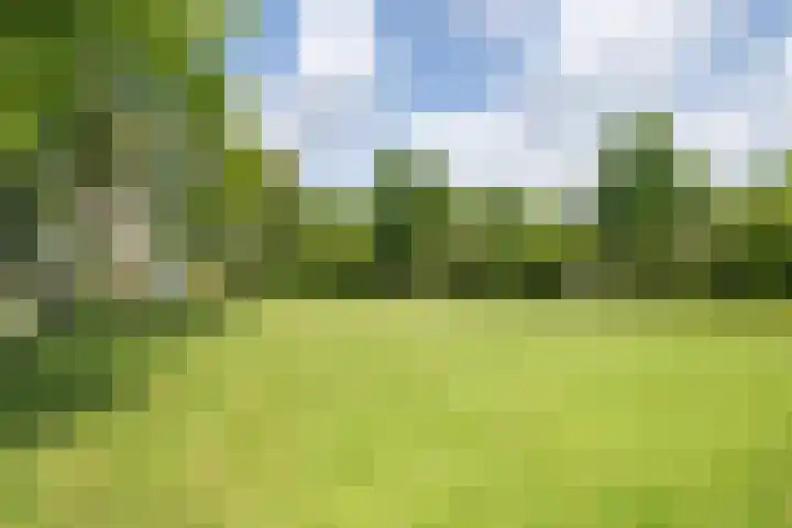 Egholm 27 Hoofddorp thumbnail 32
