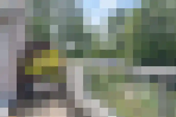 Egholm 27 Hoofddorp thumbnail 6