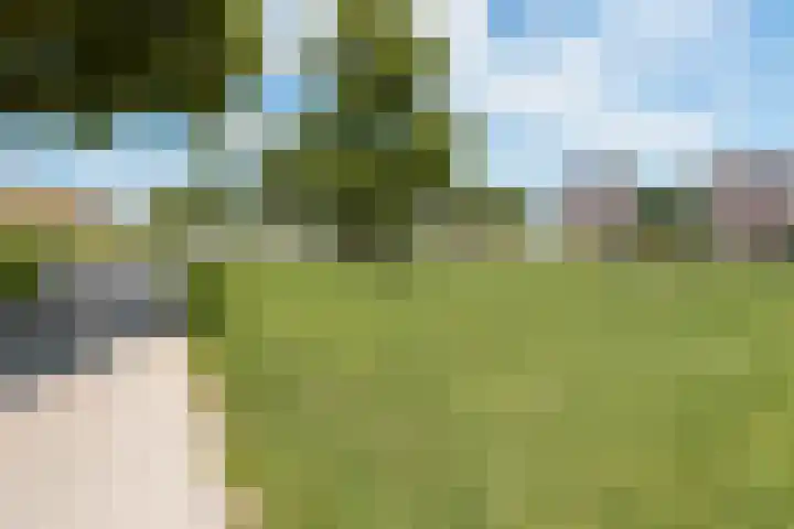 Egidiusstraat 113 1 Amsterdam thumbnail 33