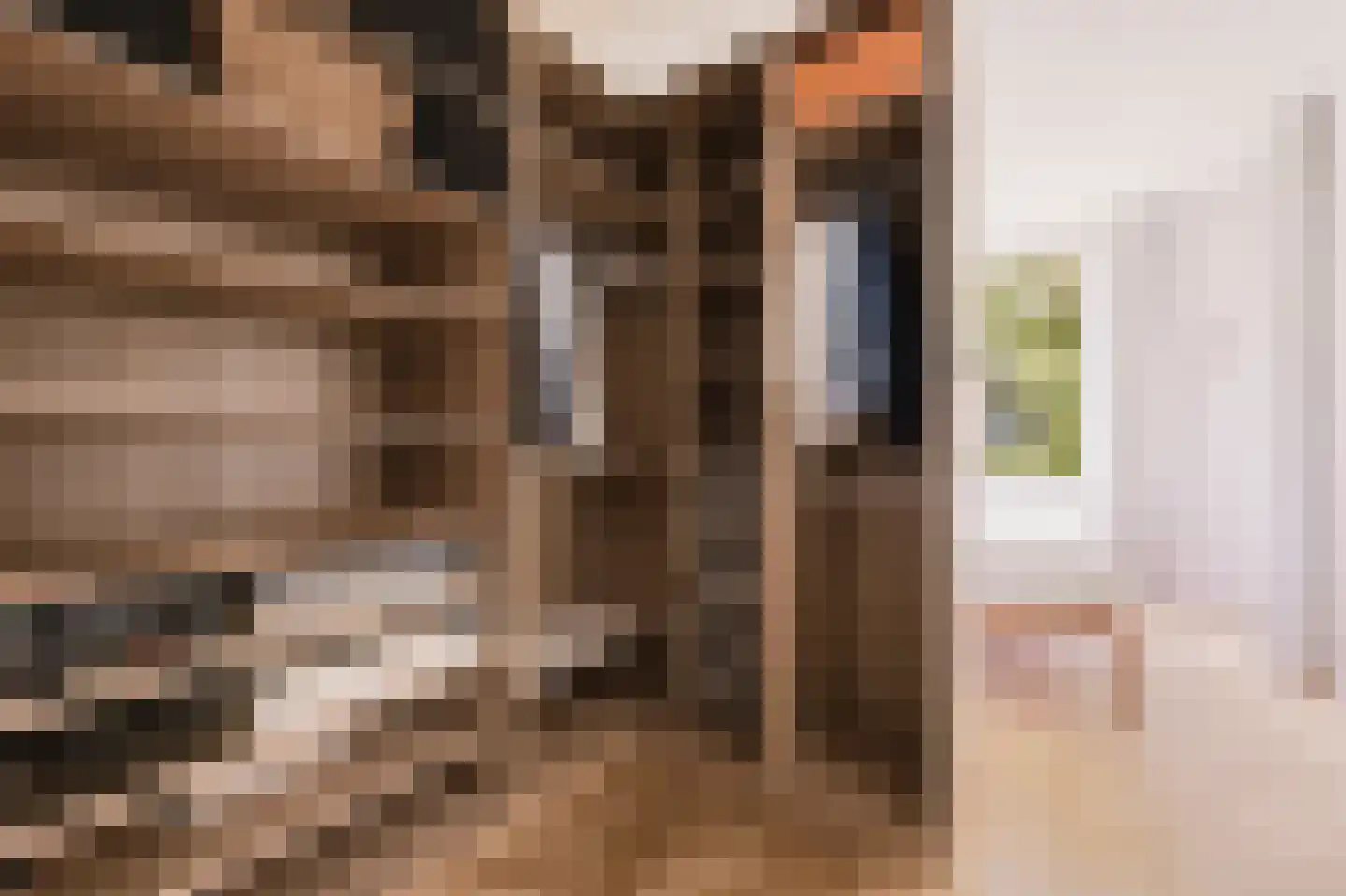 Egidiusstraat 117 2 Amsterdam thumbnail 21