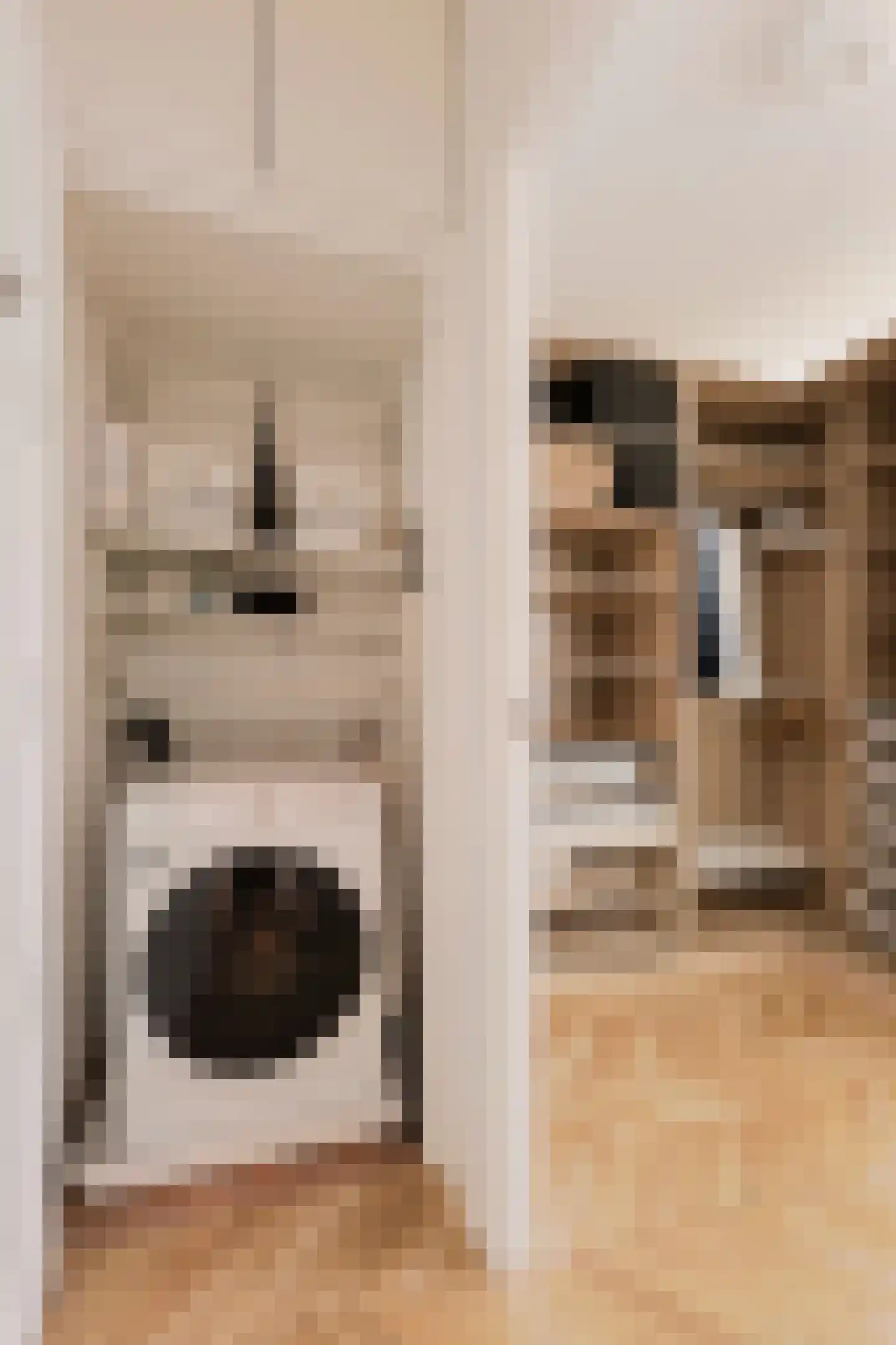 Egidiusstraat 117 2 Amsterdam thumbnail 22