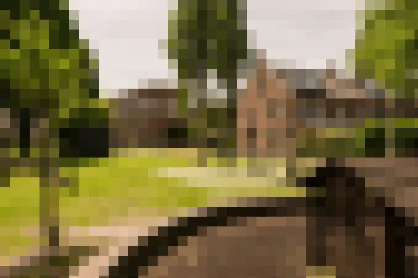 Egidiusstraat 117 2 Amsterdam thumbnail 26