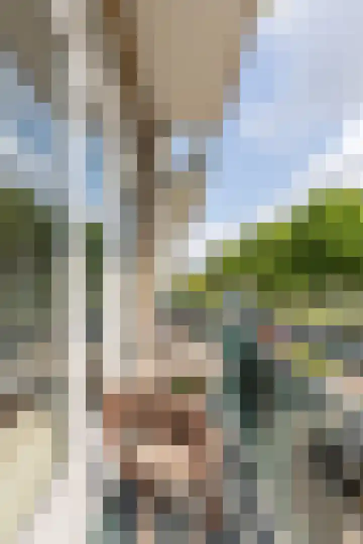 Egidiusstraat 13 2 Amsterdam thumbnail 12