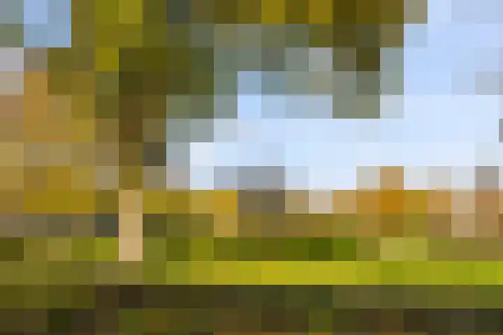 Egidiusstraat 19 Amsterdam thumbnail 48